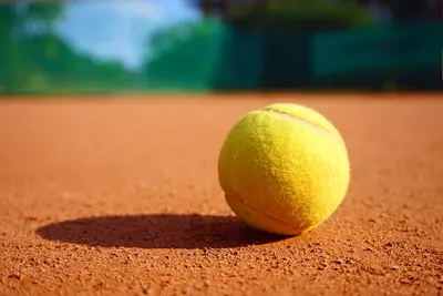 Korty Tenisowe Kryte i Odkryte Parkitka